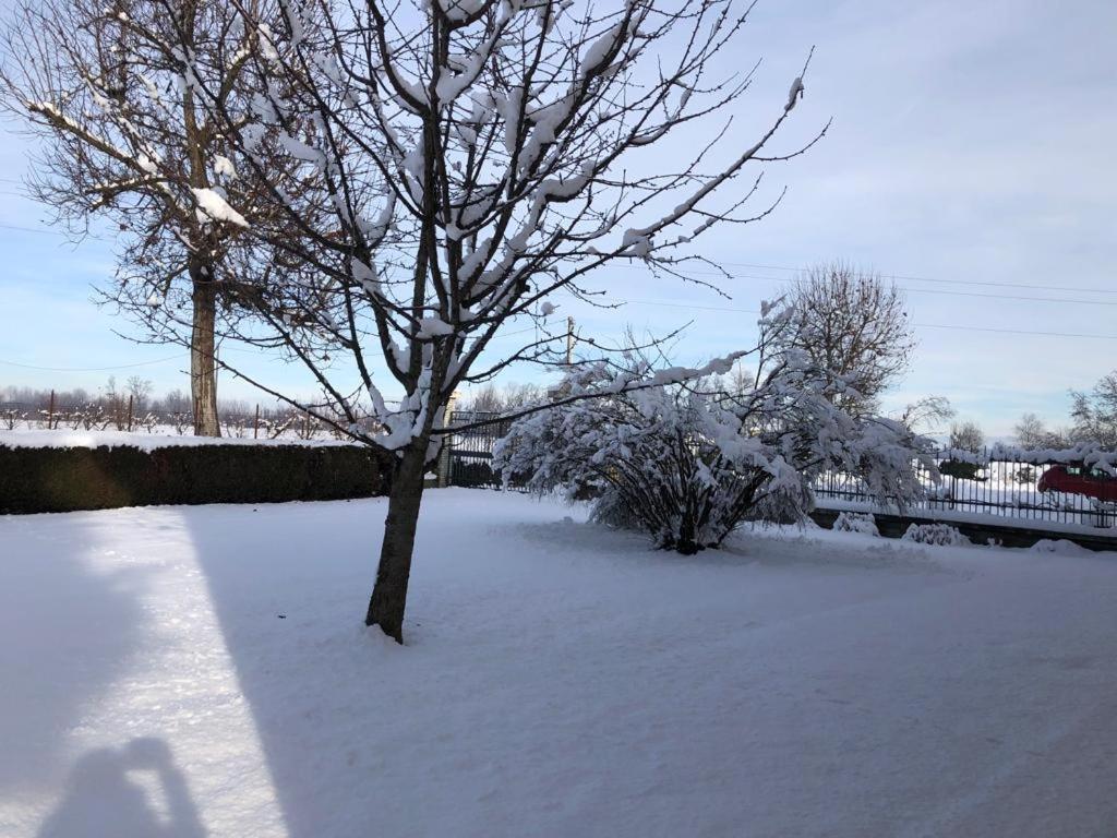 Cascina La Barona Bed & Breakfast *